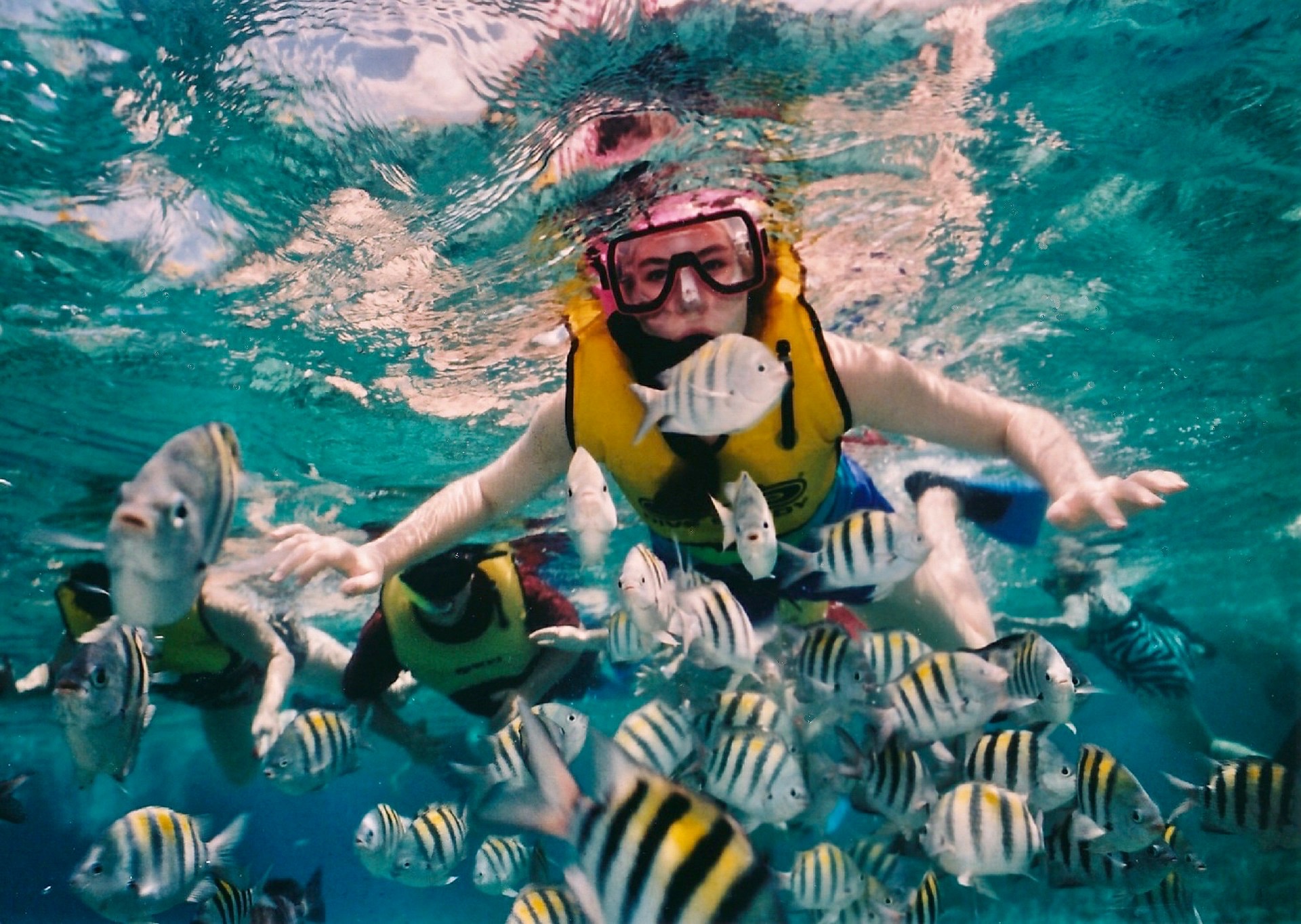 Personas haciendo snorkel rodeados de un gran grupo de peces de colores.