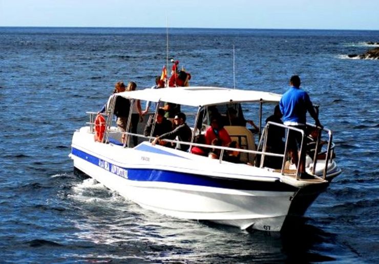 Water taxi Masca to Los Gigantes