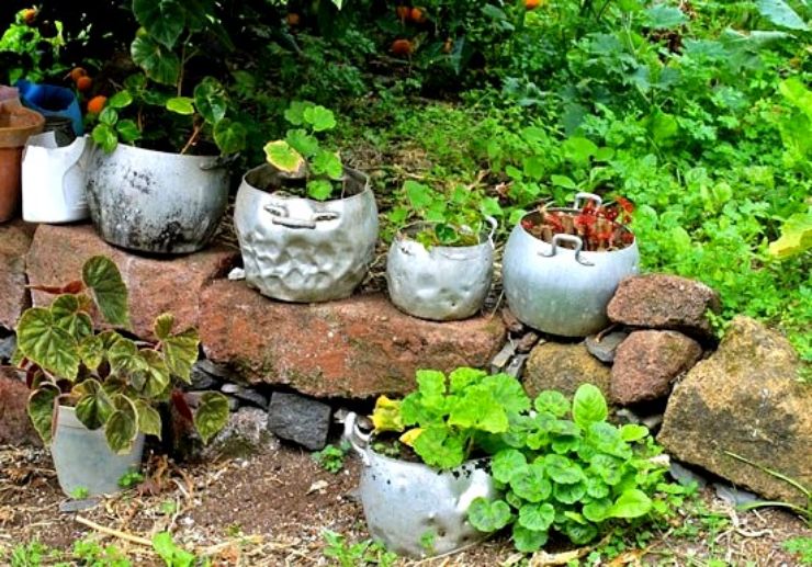 Potted plants in El Batan villages