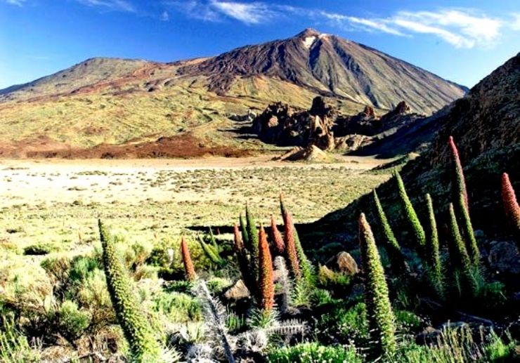 Breathtaking scenery of Tajinaste Teide