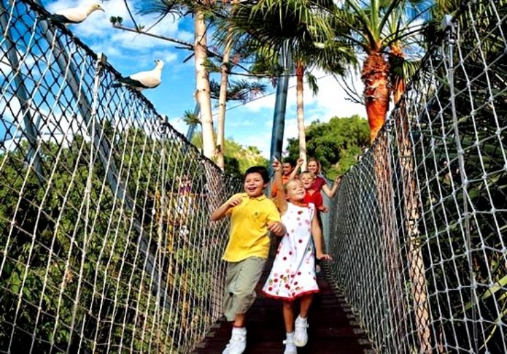 Katandra Treetops hanging bridge Loro Park Tenerife