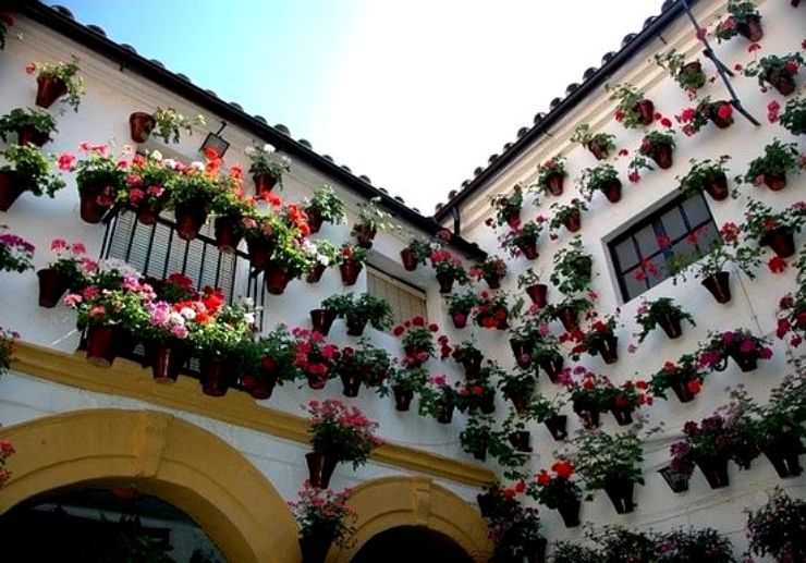 Flower pots adorning hourse in Cordoba