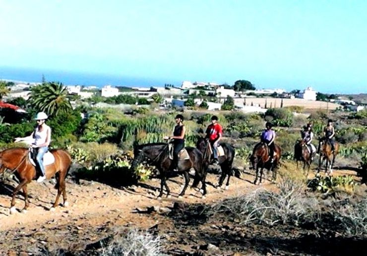 Horseback riding in Maspalomas landscape