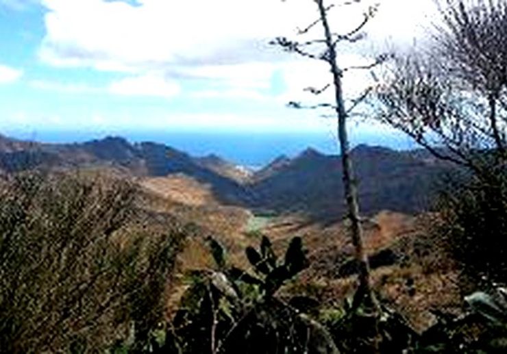 Anaga mountains hiking tour Tenerife