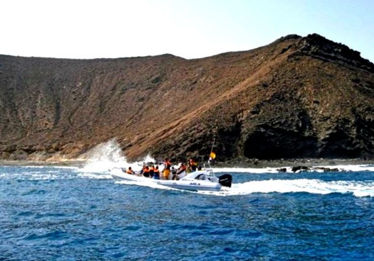 Private speedboat tour around Lobos Island