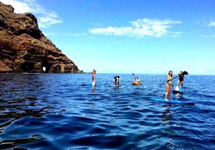 Stand up paddle excursion Tenerife