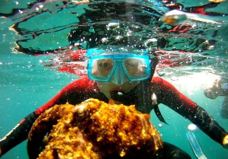 Costa Calma Snorkelling in Fuerteventura