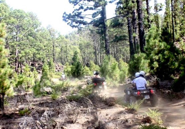 Quad tour in the pine forest of Tenerife