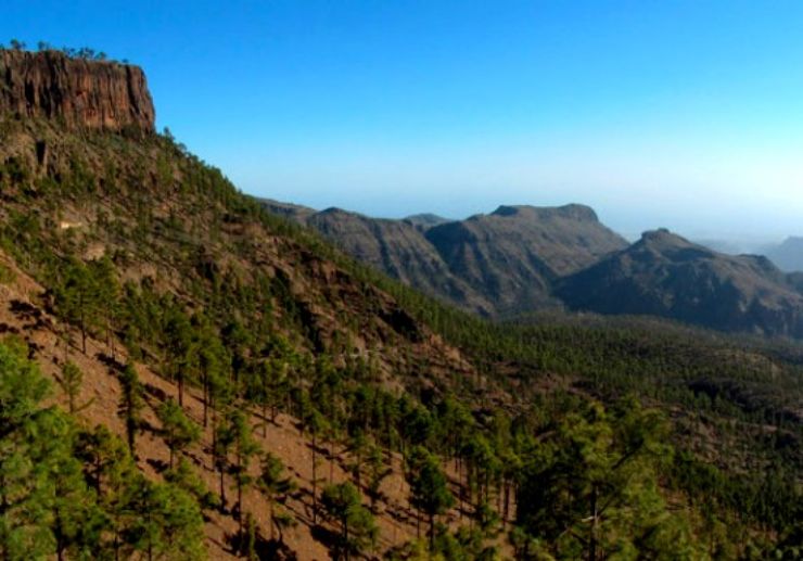 Helicopter over lush valley of Gran Canaria