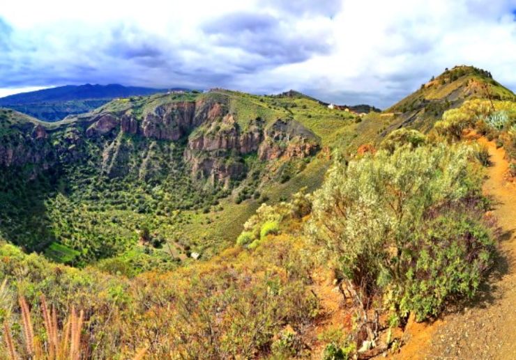 Gran Canaria amazing landscapes private wine tour