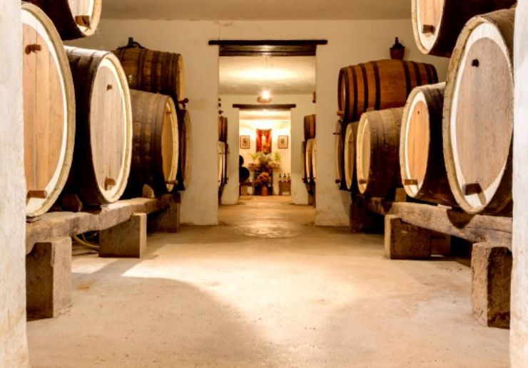 Mocanal winery Gran Canaria