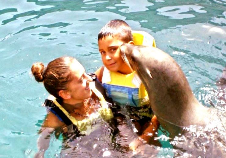 Sea lion kissing a child Fuerteventura