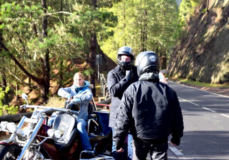 Pine forest of teide trike tour