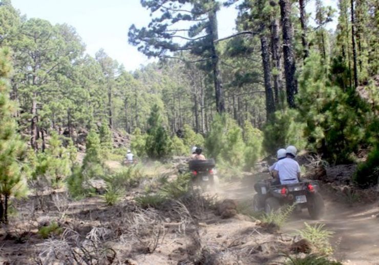 Forest discovery quad excursion in Tenerife