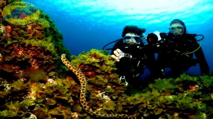 diving package in El Hierro with accommodation