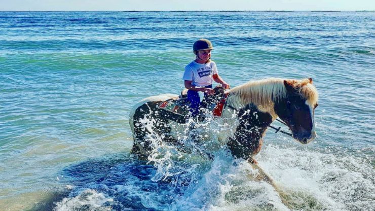 get into the water with your horse