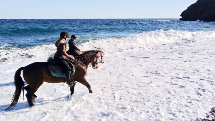 Lanzarote horseback excursion on a beach