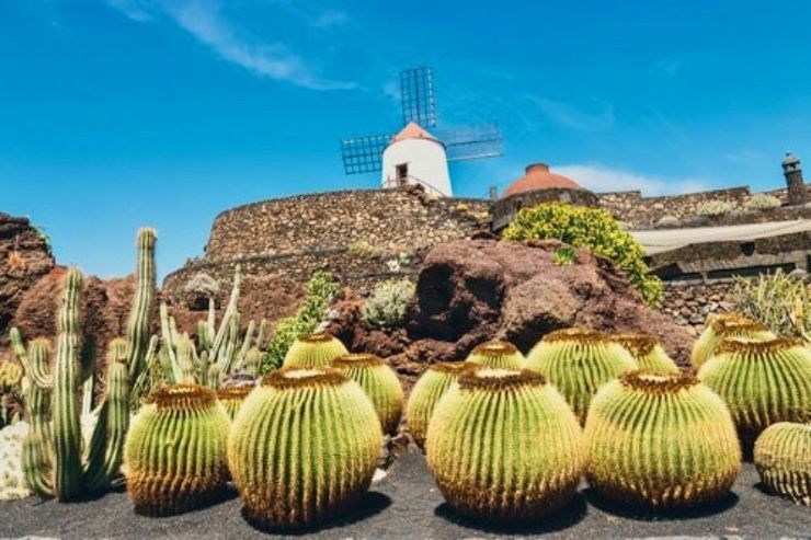 Visit Jardin de Cactus Lanzarote on Cesar Manrique Tour